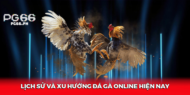 Lịch Sử Và Xu Hướng Đá Gà Online Hiện Nay